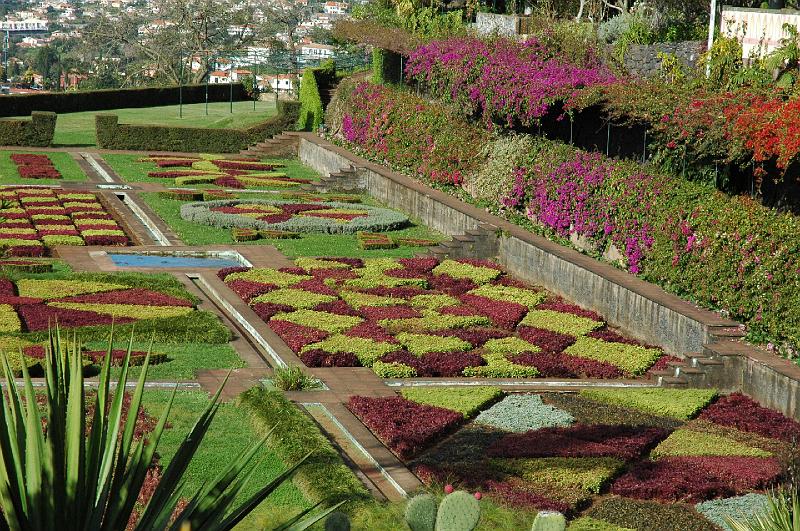 Display at Botanical Gardens.JPG